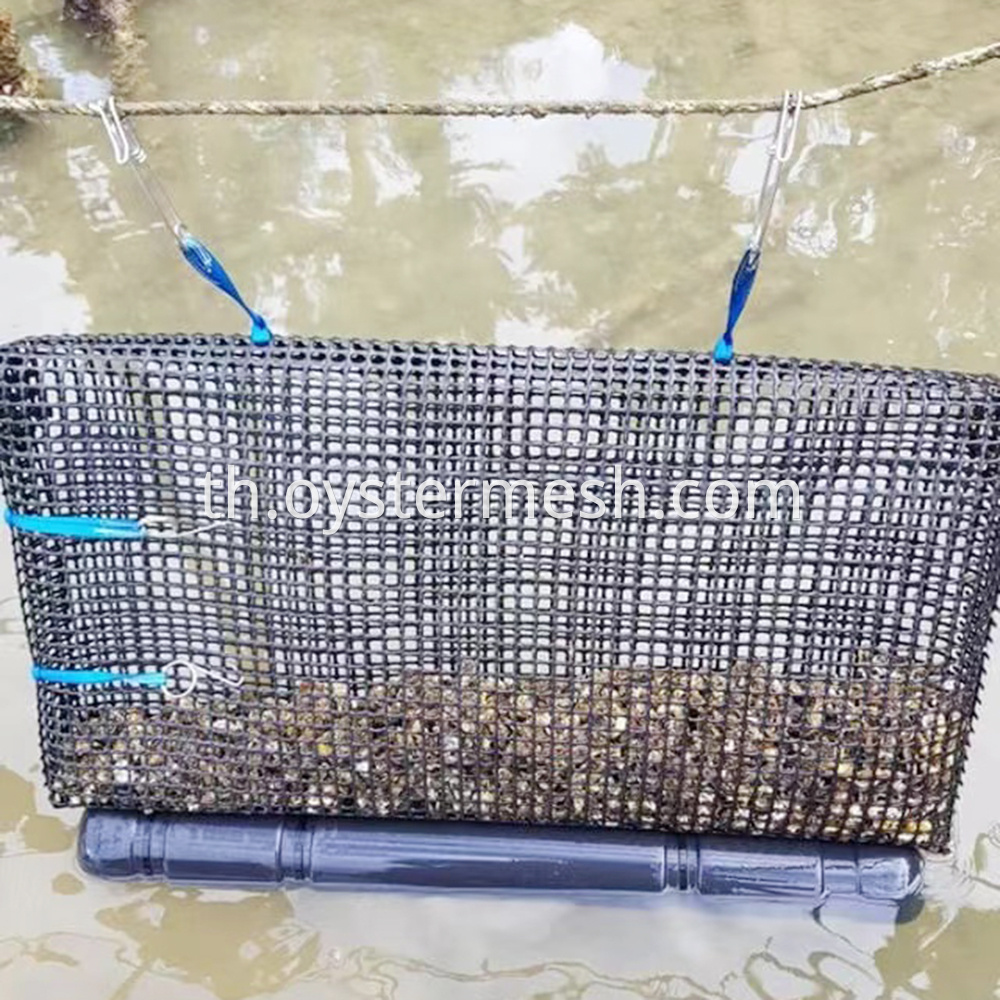Hard Mesh Bag for Oyster